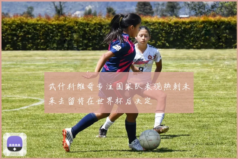 武什科维奇专注国家队表现热刺未来去留将在世界杯后决定